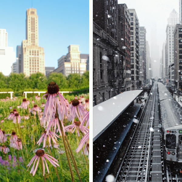 A comparison photo of chicago in the spring vs winter.